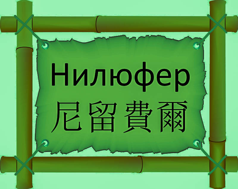Имя Нилюфер по китайски 尼留費爾 транслитом ní liú fèi ěrонлайн узнать FreeHSK