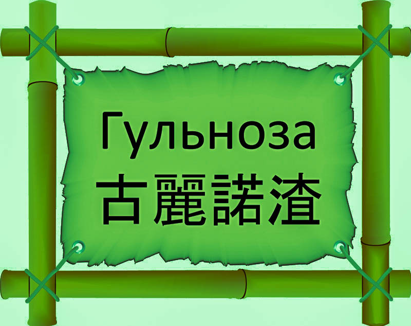 Имя Гульноза по китайски 古麗諾渣 транслитом Gǔ lí nuò zhāонлайн узнать FreeHSK Имя Гульноза по китайски 古麗諾渣 транслитом Gǔ lí nuò zhāонлайн узнать FreeHSK