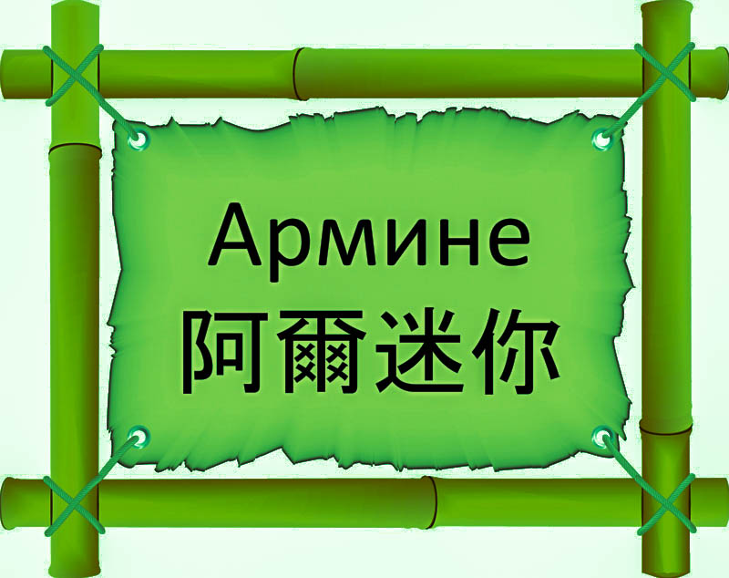 Имя Армине по китайски 阿爾迷你 транслитом Ā ěr mínǐонлайн узнать FreeHSK
