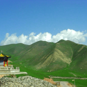 Кульджа 伊宁