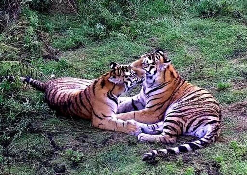 Муданьцзян 牡丹江